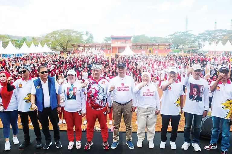 Ketua DPD Gerindra Sultra Andi Ady Aksar