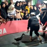 Lomba HUT Kemerdekaan