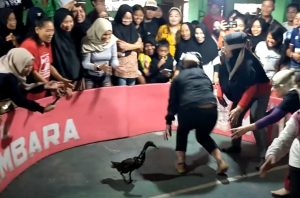 Lomba HUT Kemerdekaan