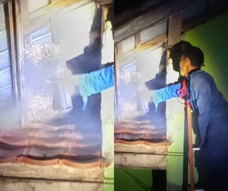 Disengat Tawon Hingga Demam