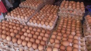 Harga Telur Ayam Ras di Pasar Kendari