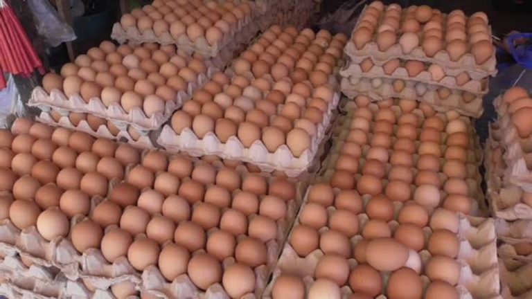 Harga Telur Ayam Ras di Pasar Kendari