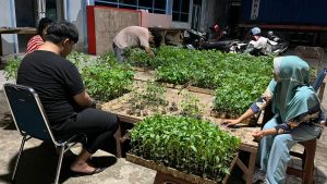 3.600 Bibit Siap Dibagikan di 24 Sekolah