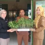 SMPN 10 Kendari Terima 150 Bibit Cabai dan Tomat. (Dok/Sultrarv.id)