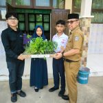 SMPN 11 Kendari Terima 150 Bibit Cabai dan Tomat. (Dok/Sultrarv.id)