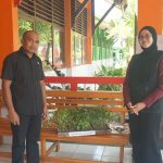 SMPN 14 Kendari Terima 150 Bibit Cabai dan Tomat. (Dok/Sultrarv.id)