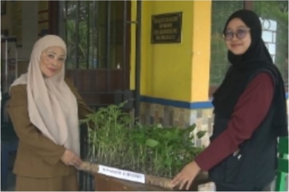 SMPN 8 Kendari Terima 150 Bibit Cabai dan Tomat. (Dok/Sultrarv.id)